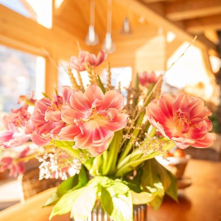 Chalet Ski Academie - Serre Chevalier Saint-Chaffrey Eksteriør bilde
